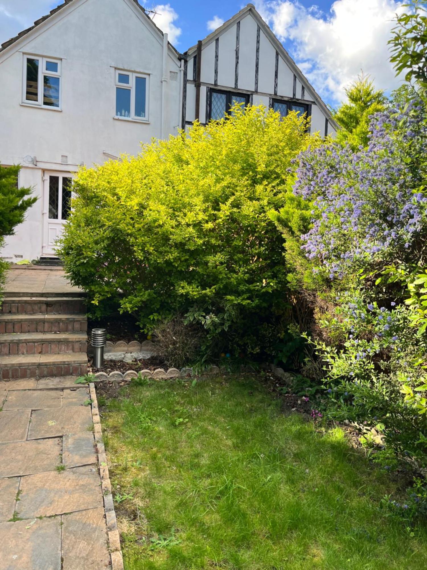 Cosy Garden Cottage Belvedere Exterior foto